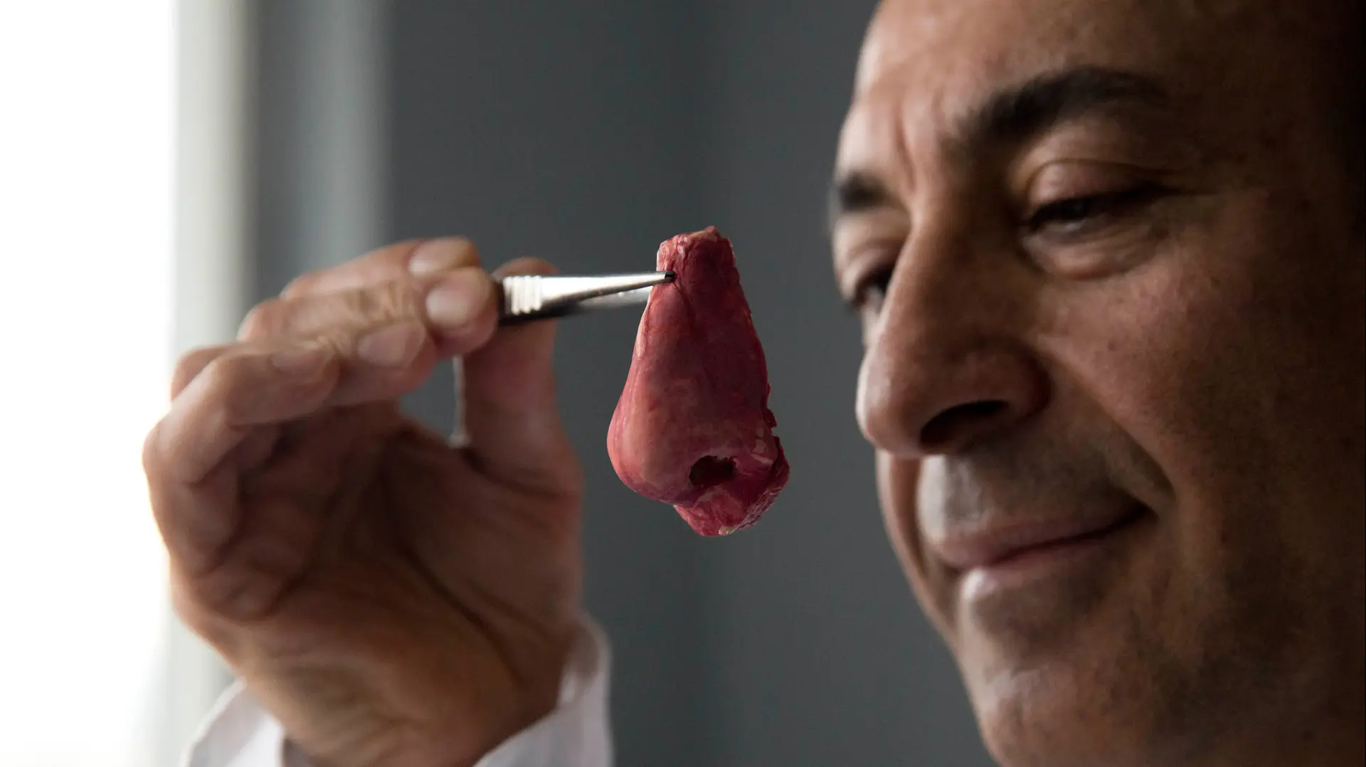 בניית אף אנושי במעבדה