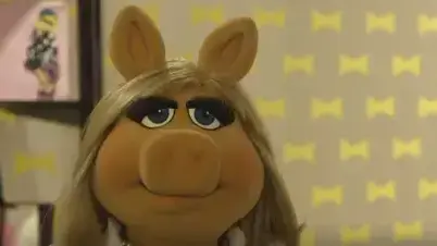 סיפור בדקה מיס פיגי יודה