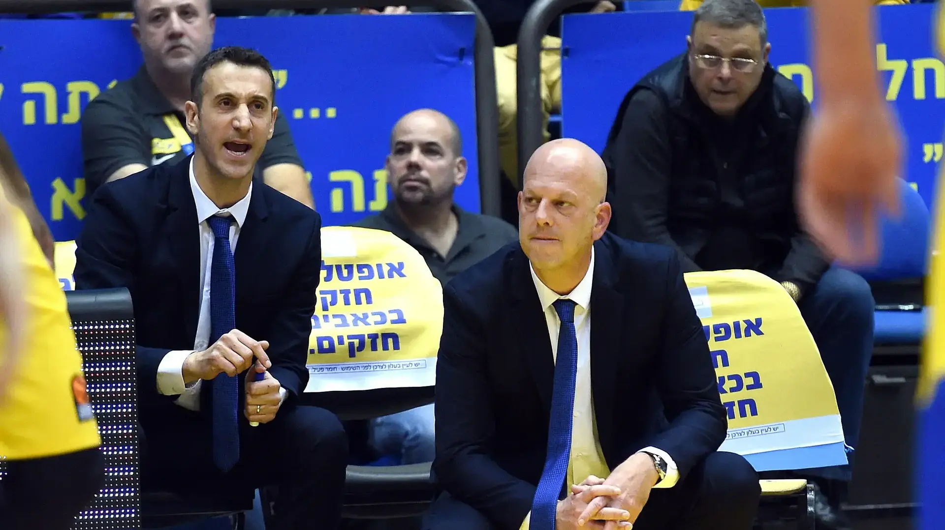 רמי הדר מאמן מכבי תל אביב רמי הדר מאמן מכבי תל אביב