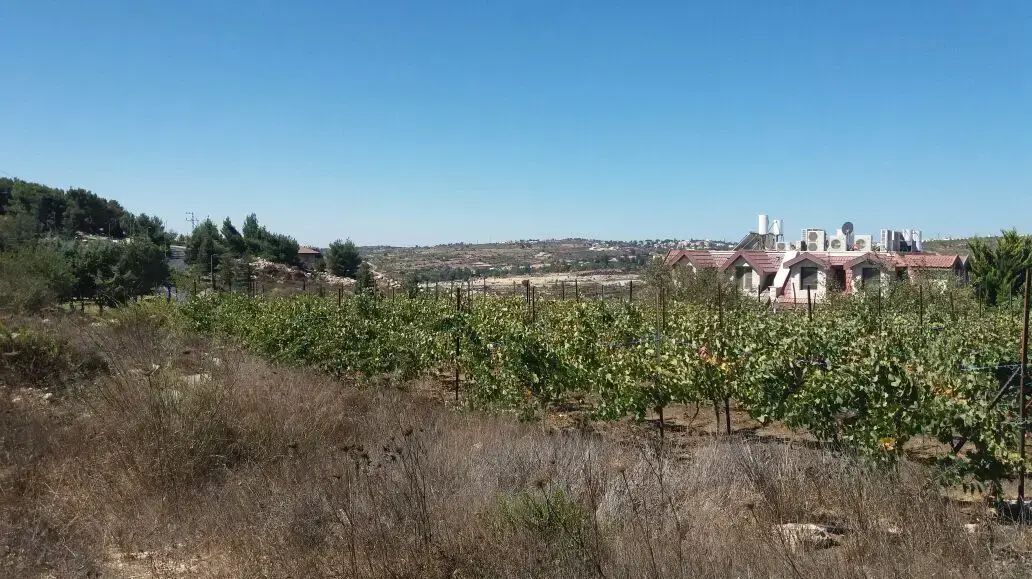 השתלטות על קרקעות פלסטיניות פרטיות, אפרת. דצמבר 2016
