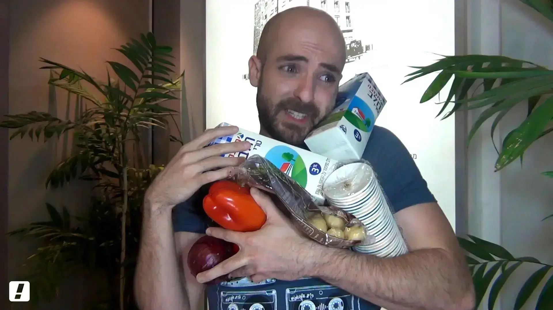 אולפן וואלה