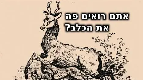 איפה הכלב?