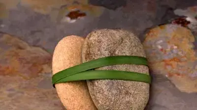 אבנים