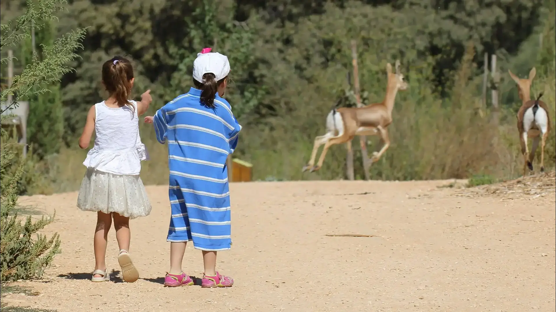 עמק צבאים בירושלים