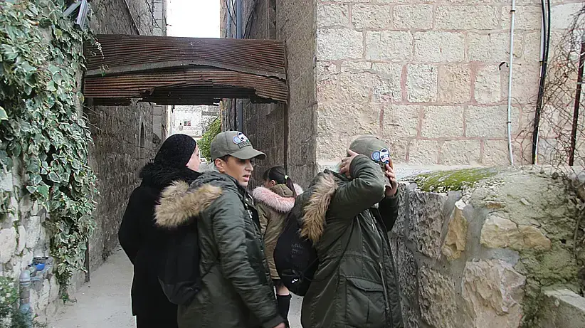 התאומות מלול התאומות מלול