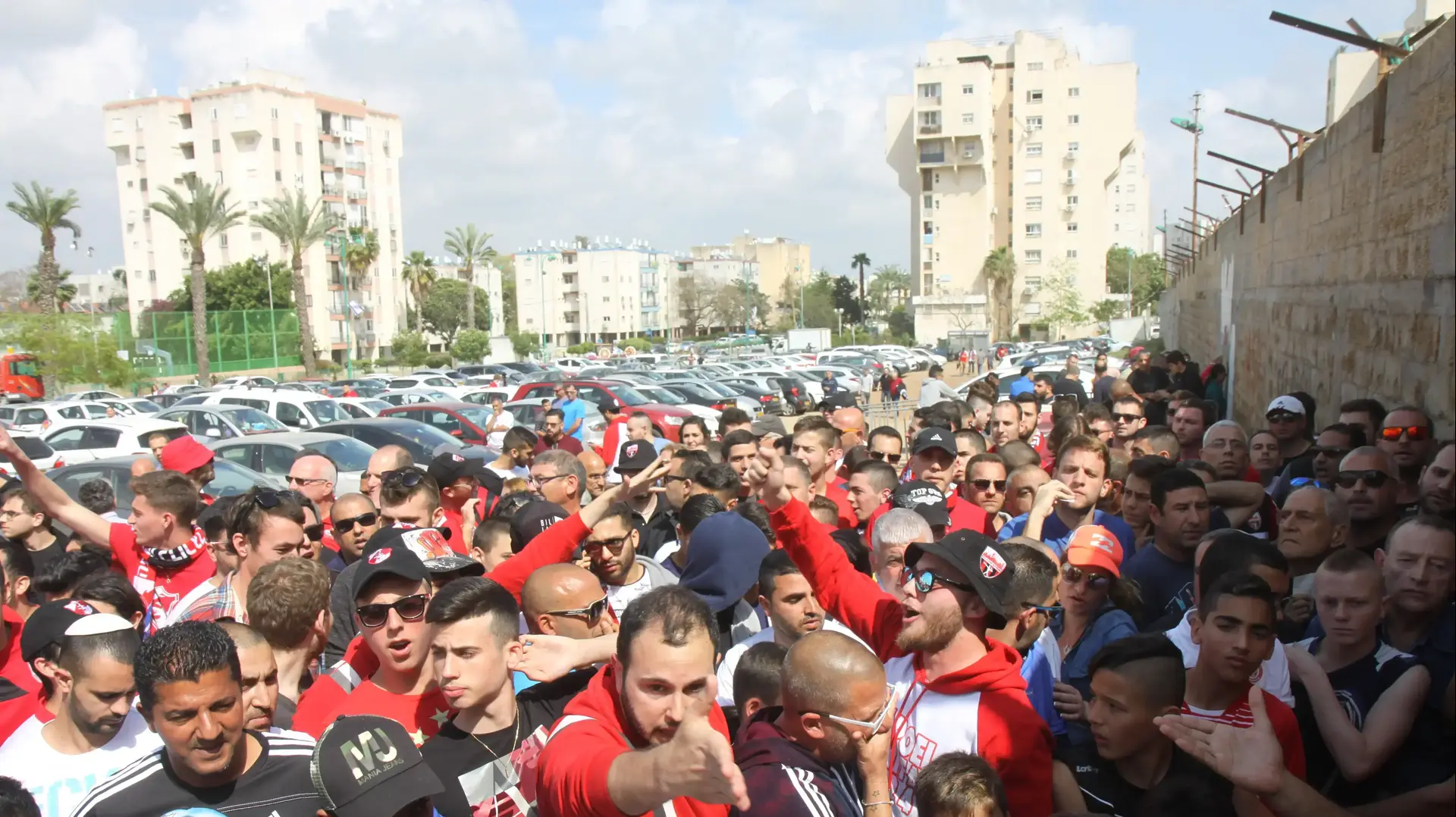 אוהדי מ.ס. חיפה רובי שפירא