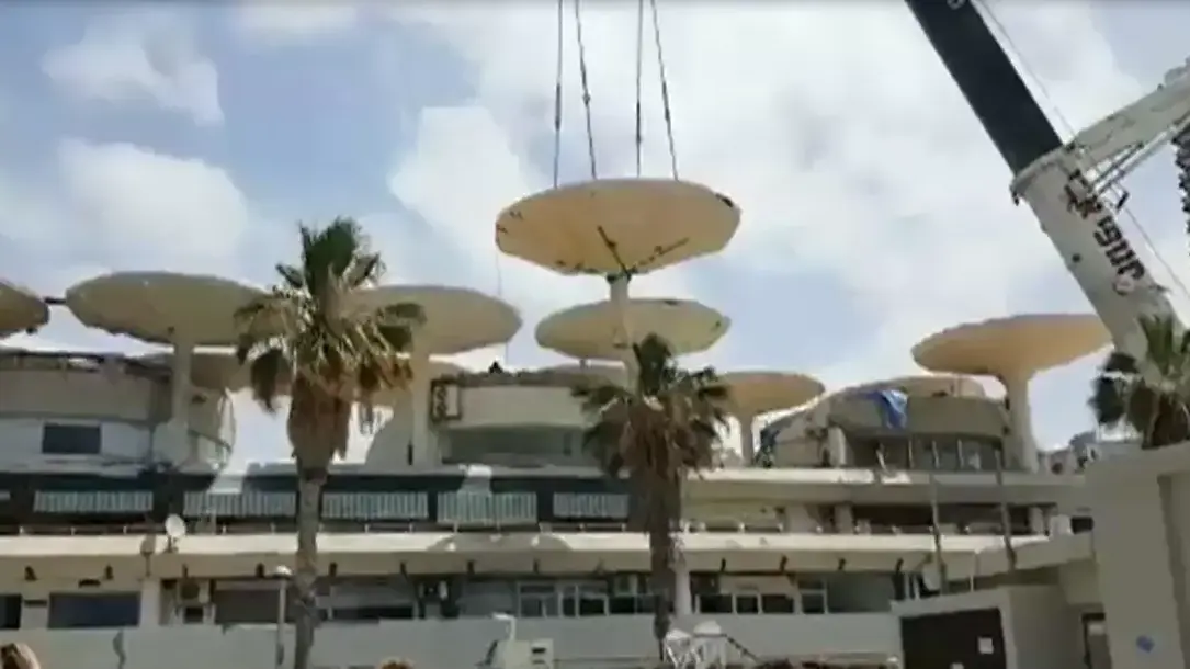 הריסת פטריות בכיכר אתרים