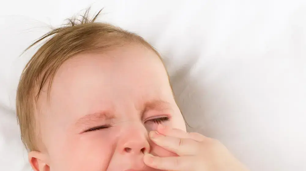 תינוק מוציא שיניים תינוק מוציא שיניים