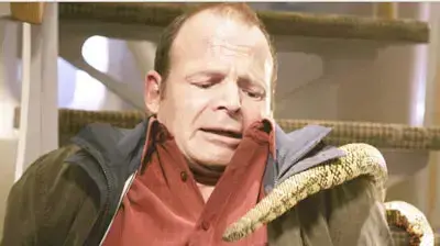 נחשים על המטוס
