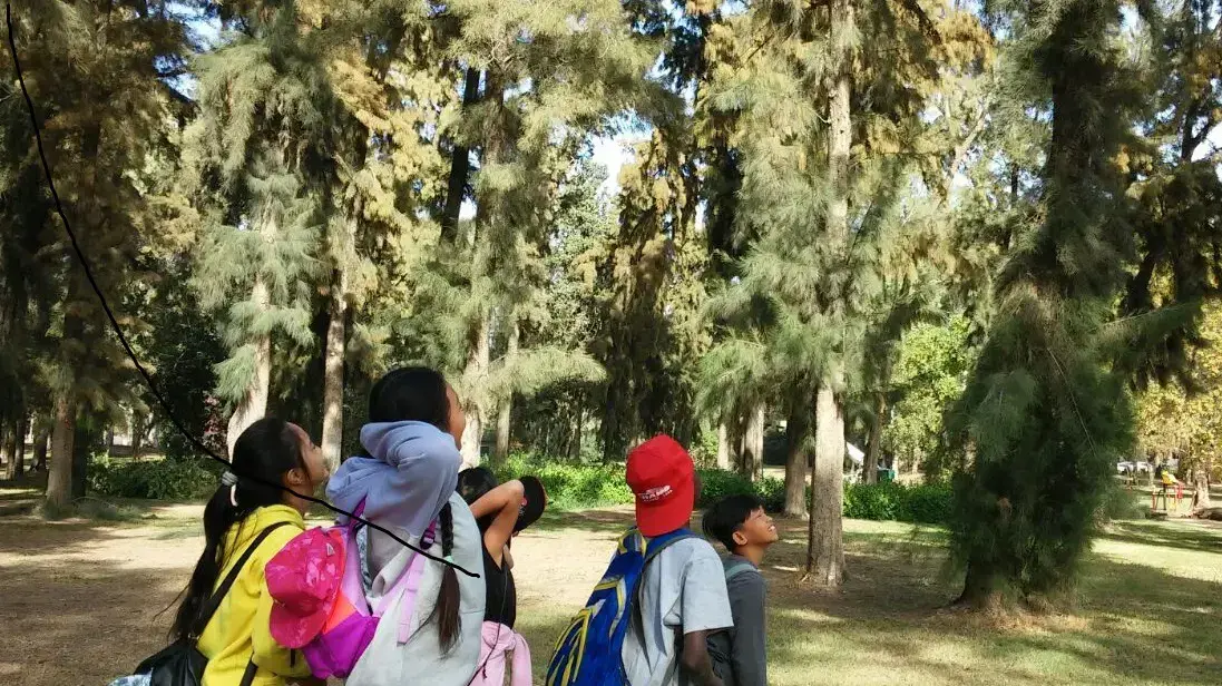 פרויקט חינוכי לתלמידים של איגודן פרויקט חינוכי לתלמידים של איגודן
