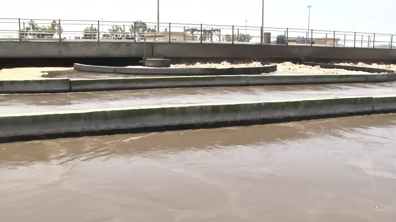 מרכז המבקרים של איגודן בראשון לציון