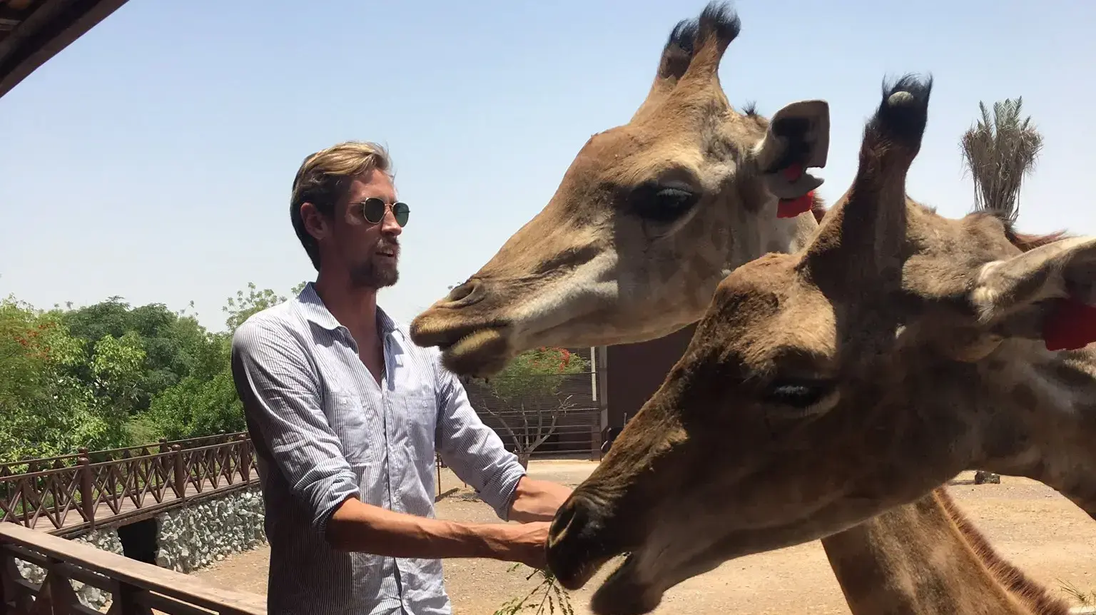 שחקן סטוק סיטי פיטר קראוץ' שחקן סטוק סיטי פיטר קראוץ'