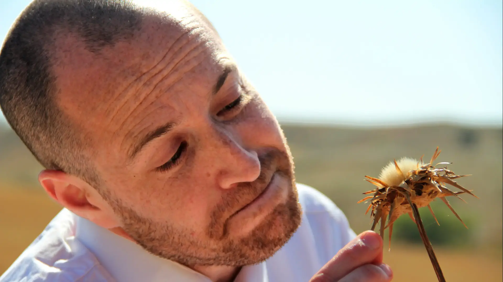 ג'ימבו ג'יי