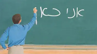 אילוסטרציה מורה