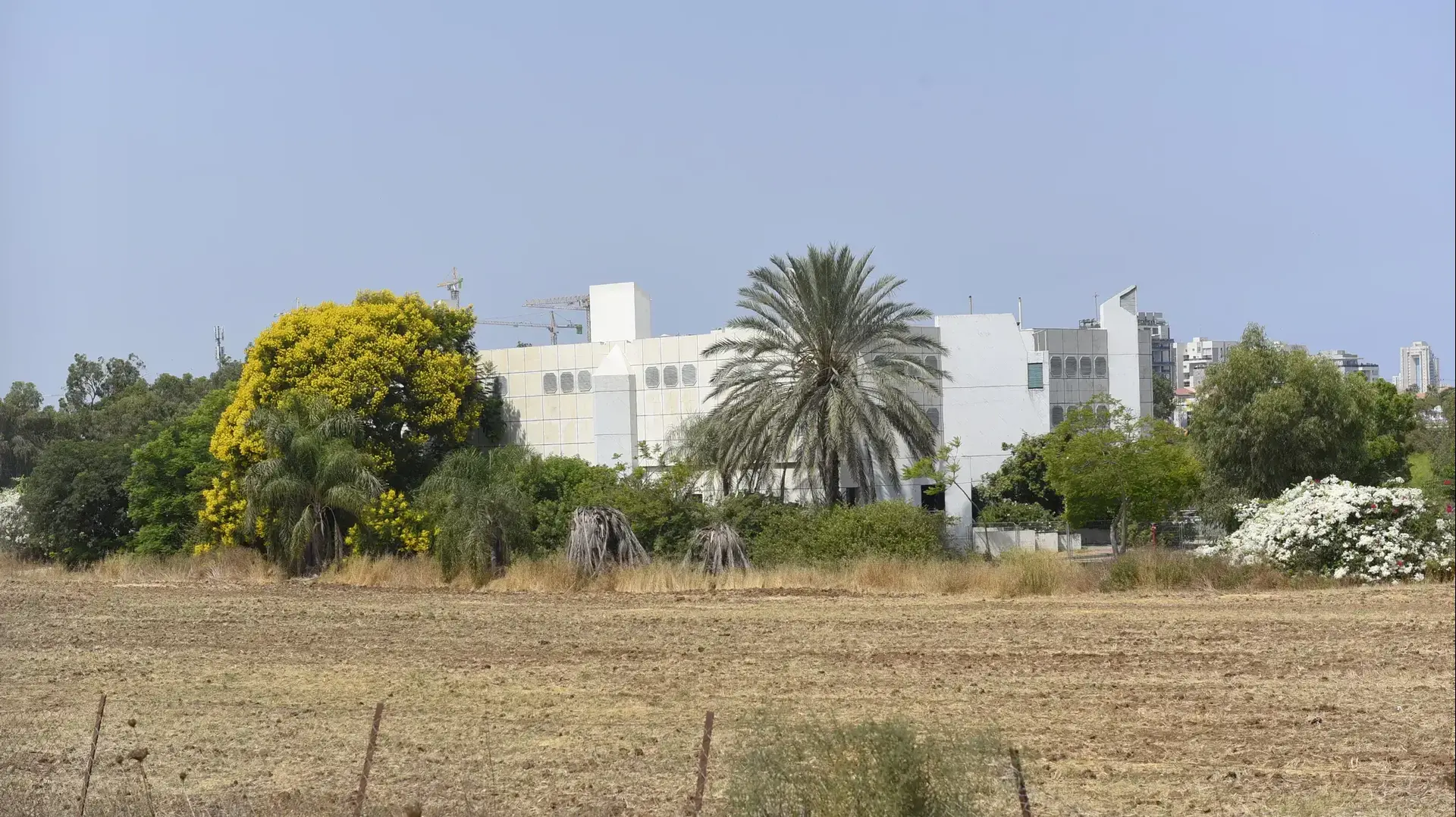 מכון וולקני