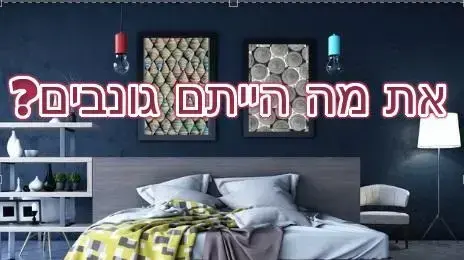 חידון פלייבאז שוד