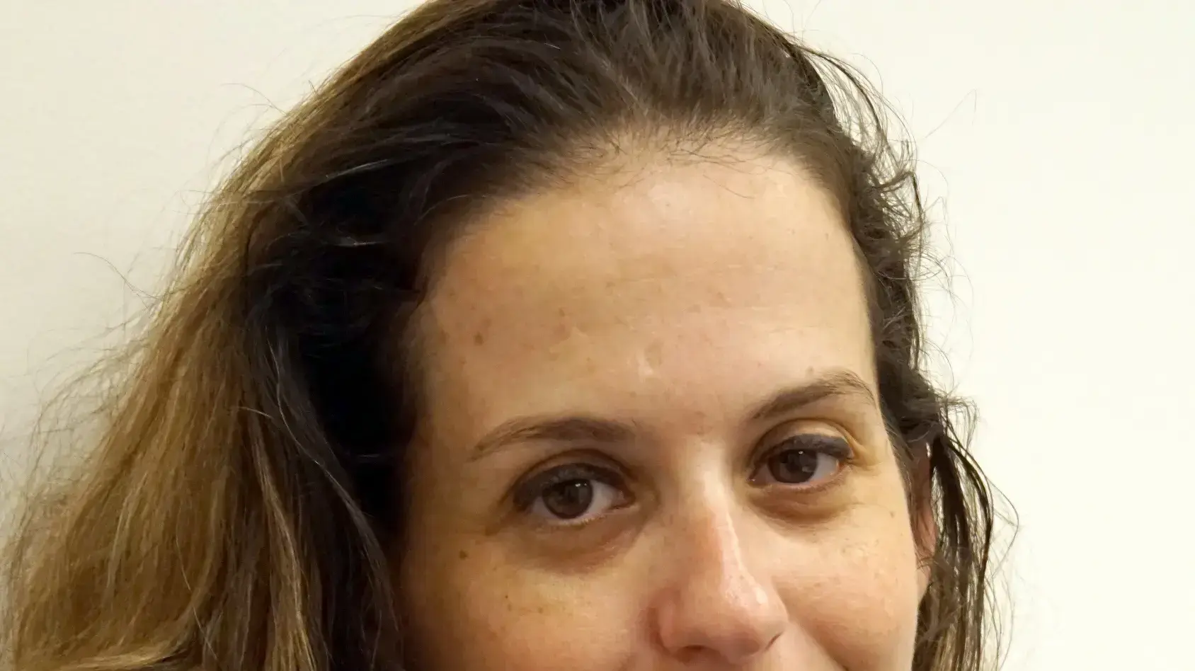 טל לוין