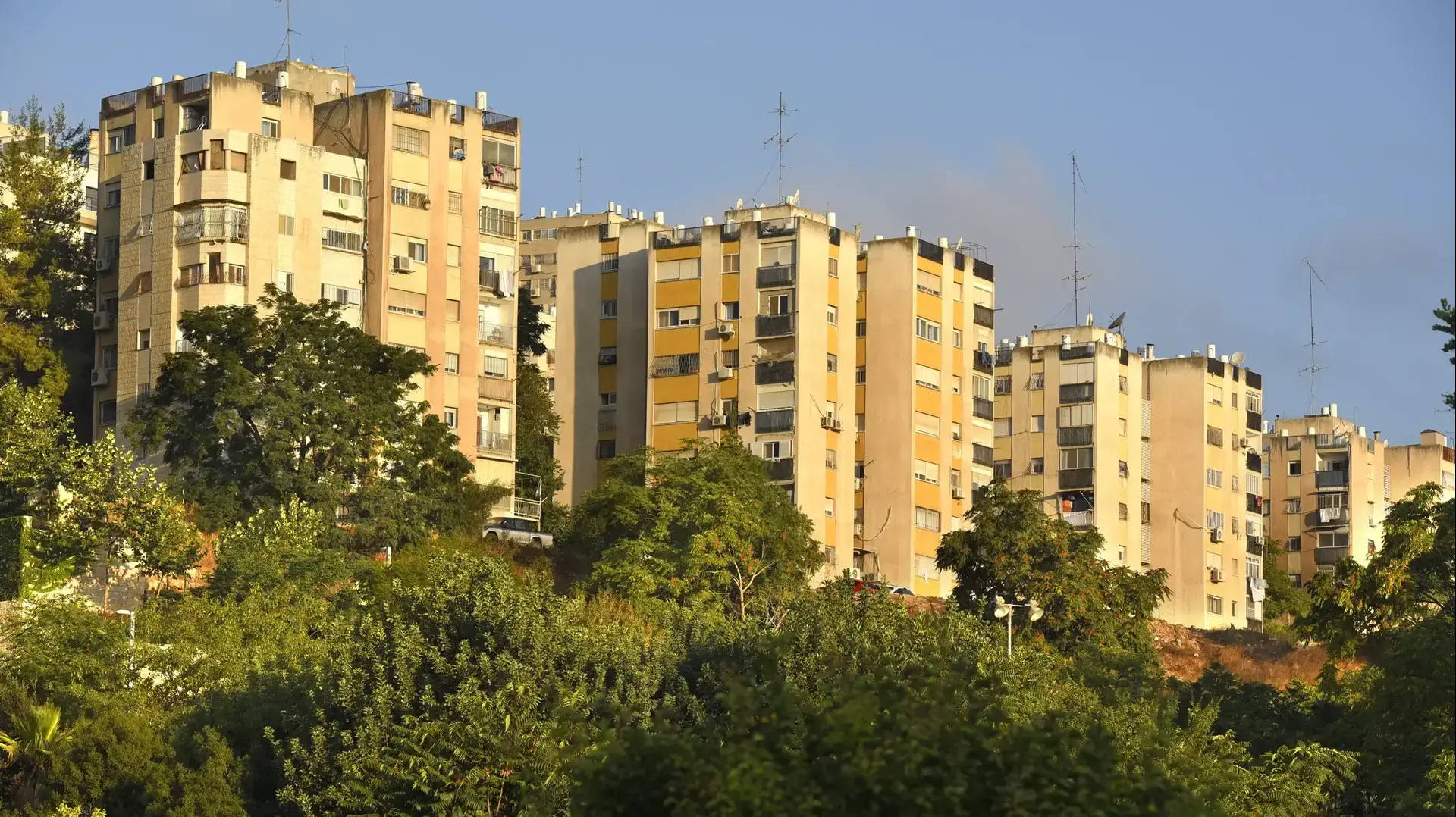 נדלן בניינים ירושלים רחוב קוליץ