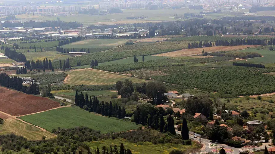 אפשרויות מימון לקרקע חקלאית