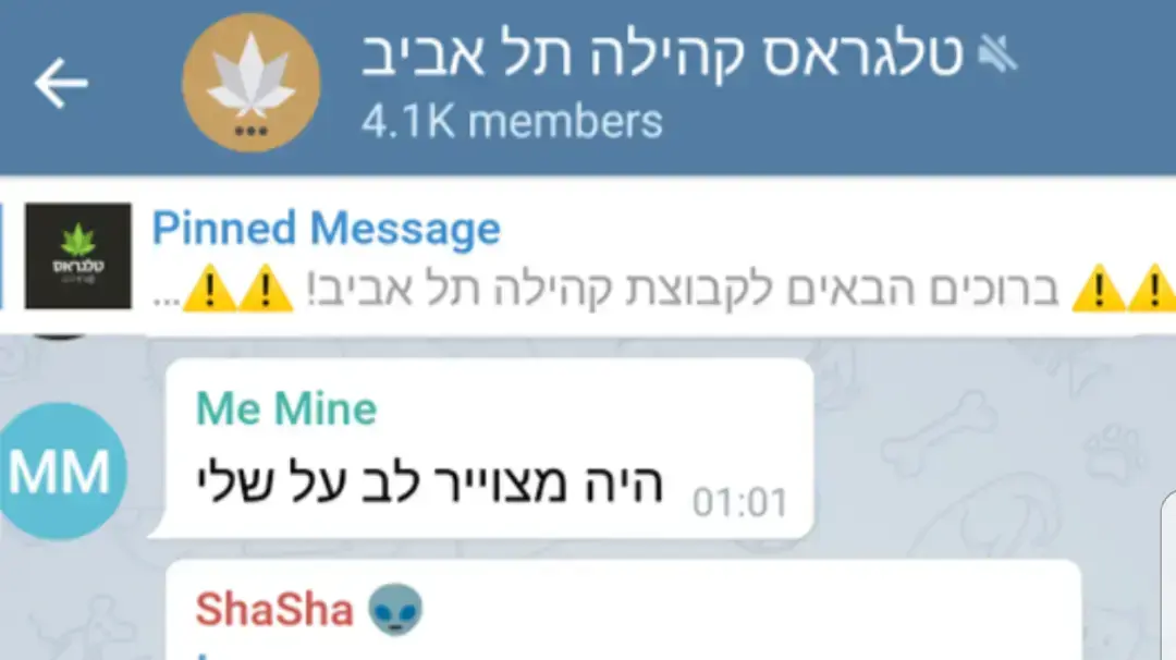 קנביס
