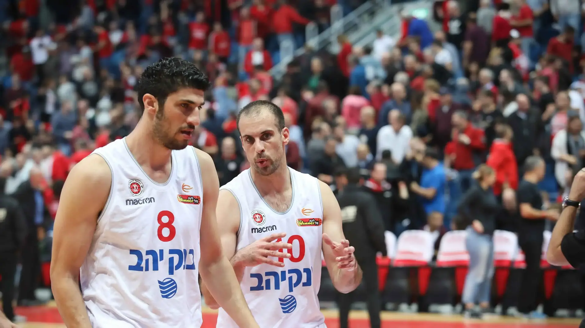 שחקני הפועל ירושלים ליאור אליהו, יותם הלפרין שחקני הפועל ירושלים ליאור אליהו, יותם הלפרין