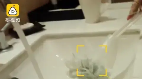חדרנית מנקה חדר מלון בסין עם מברשת מהאסלה
