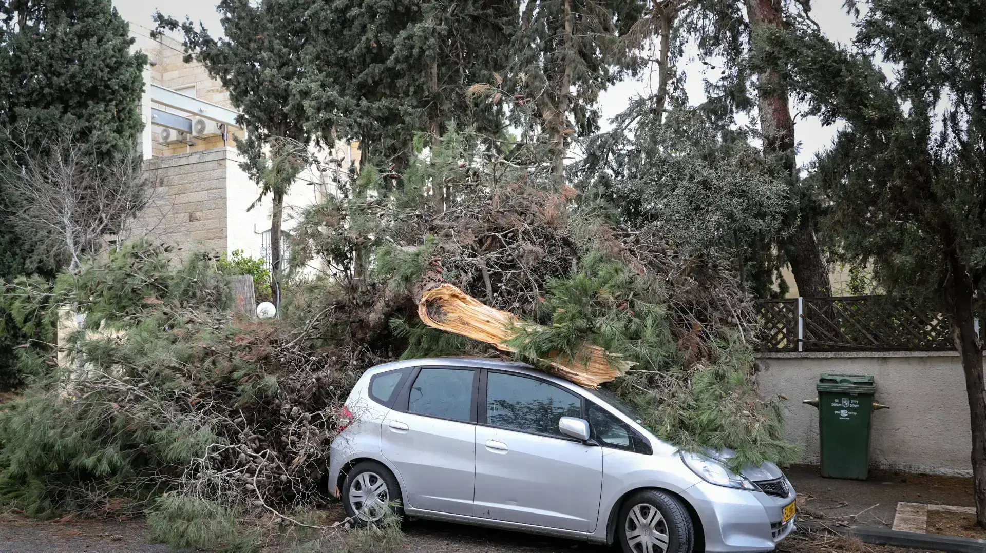 קריסת עץ על אוטו בשכונת ארנונה בירושלים 5 בינואר 2018