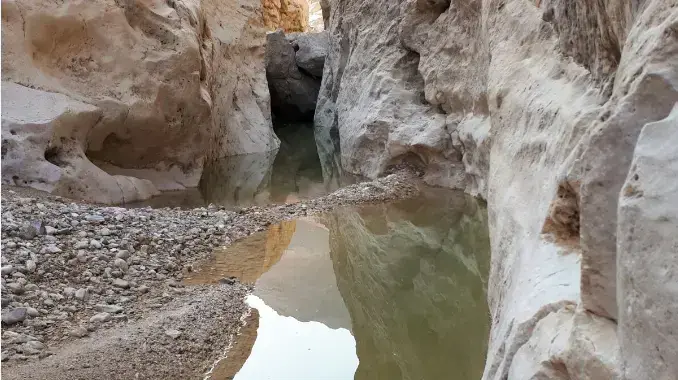 גב קינה במדבר יהודה