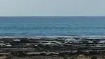 תסביך אב