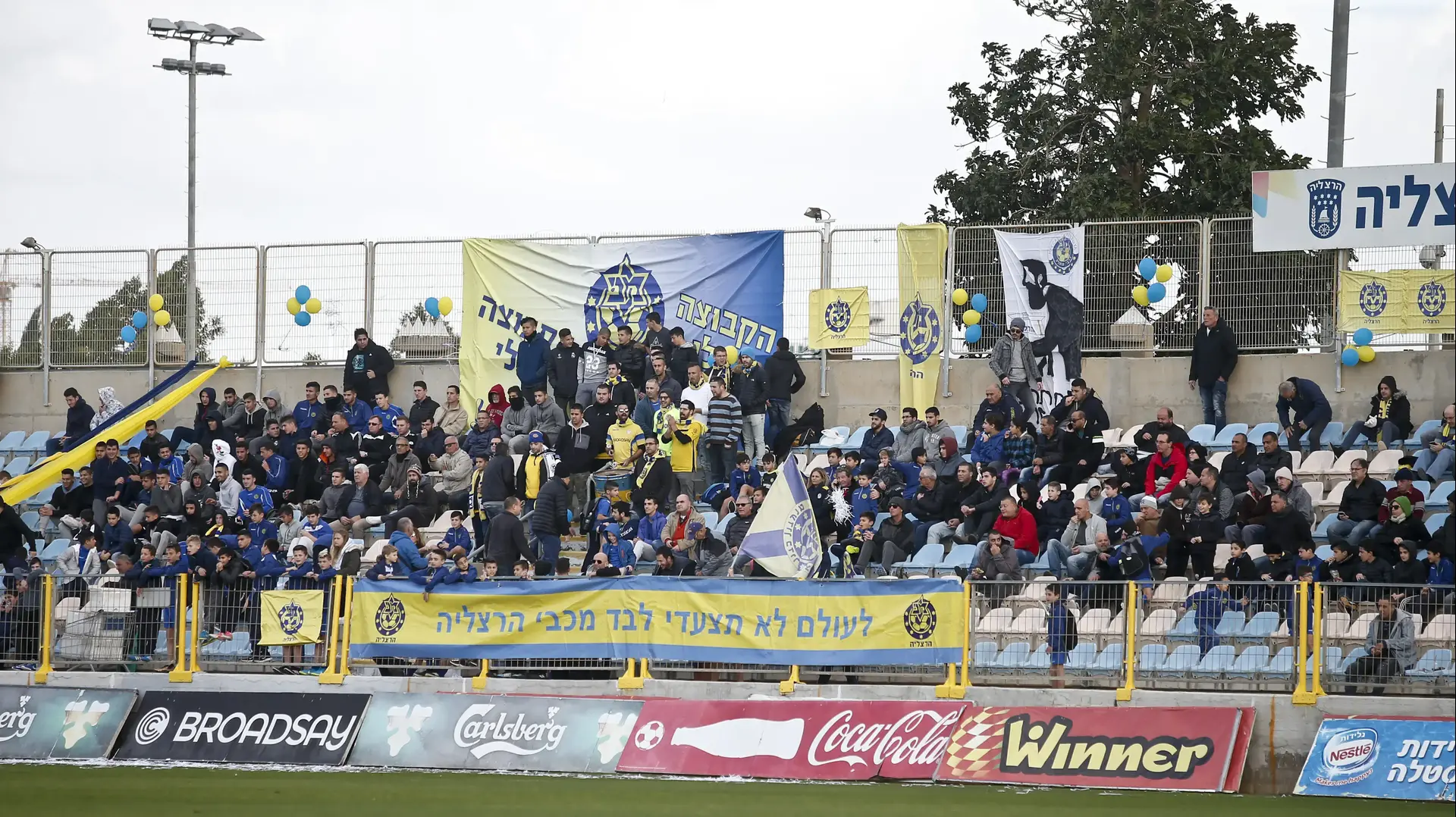 אוהדי מכבי הרצליה אוהדי מכבי הרצליה