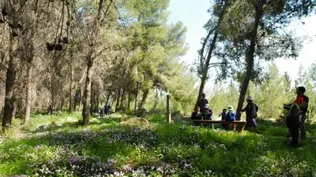 יער המלאכים