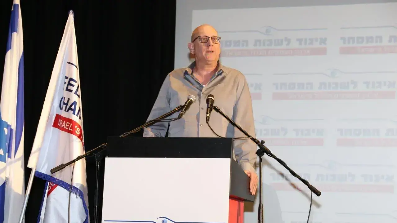 אבי כץ קופיקס