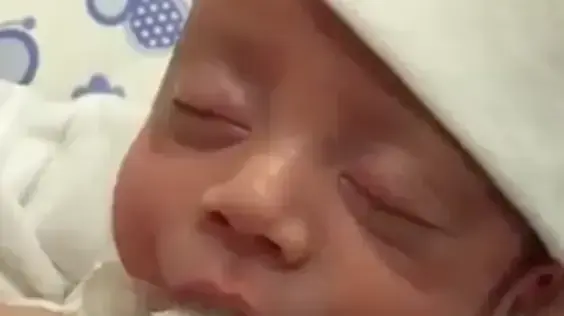 תינוק לוגם חלב מכוסית קטנה תינוק לוגם חלב מכוסית קטנה