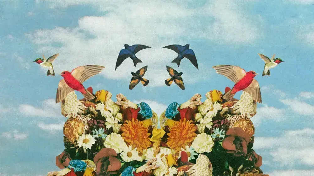 קלין בנדיט,  Clean Bandit