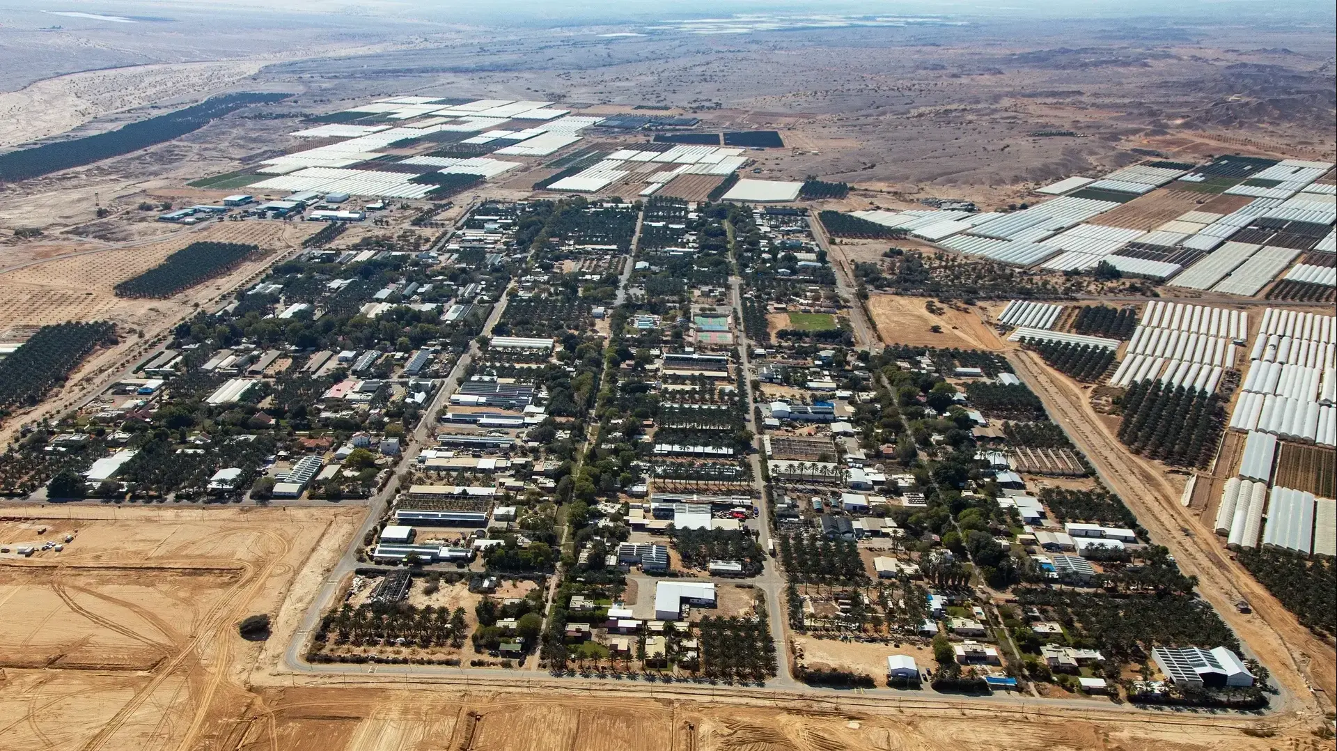הערבה התיכונה