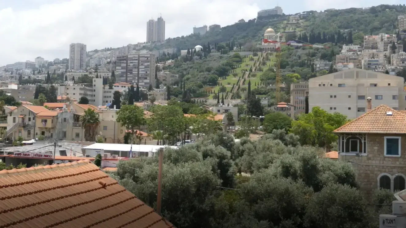 העיר חיפה מגג המרכז האקדמי ויצו חיפה העיר חיפה מגג המרכז האקדמי ויצו חיפה