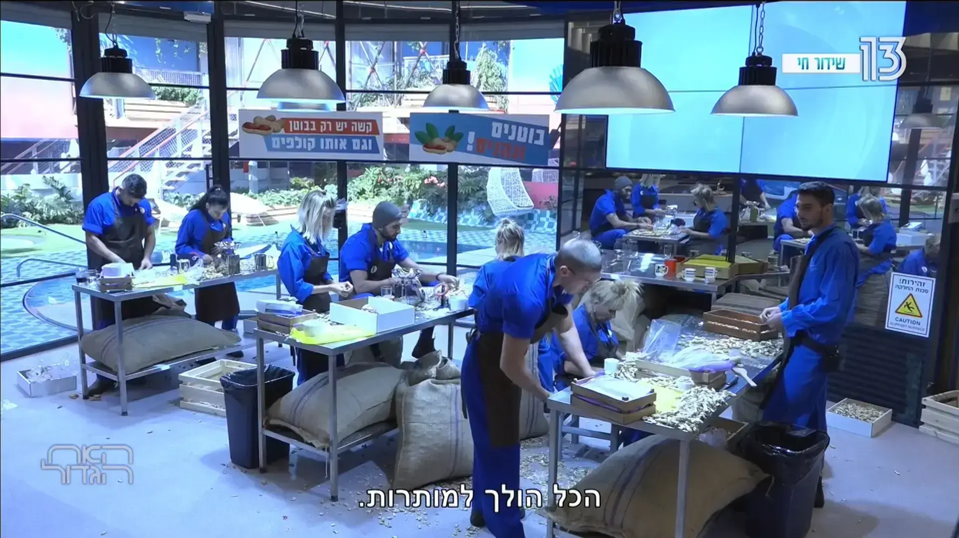האח הגדול רשת