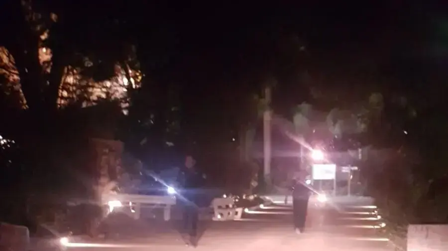 שוטרים מחפשים אחרי התן