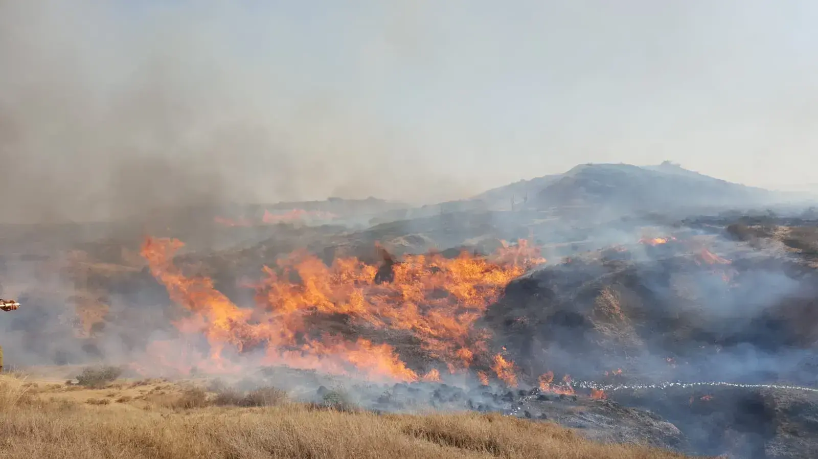 שריפת קוצים באזור בארי בקרבת צפון רצועת עזה, 23 ביוני 2018