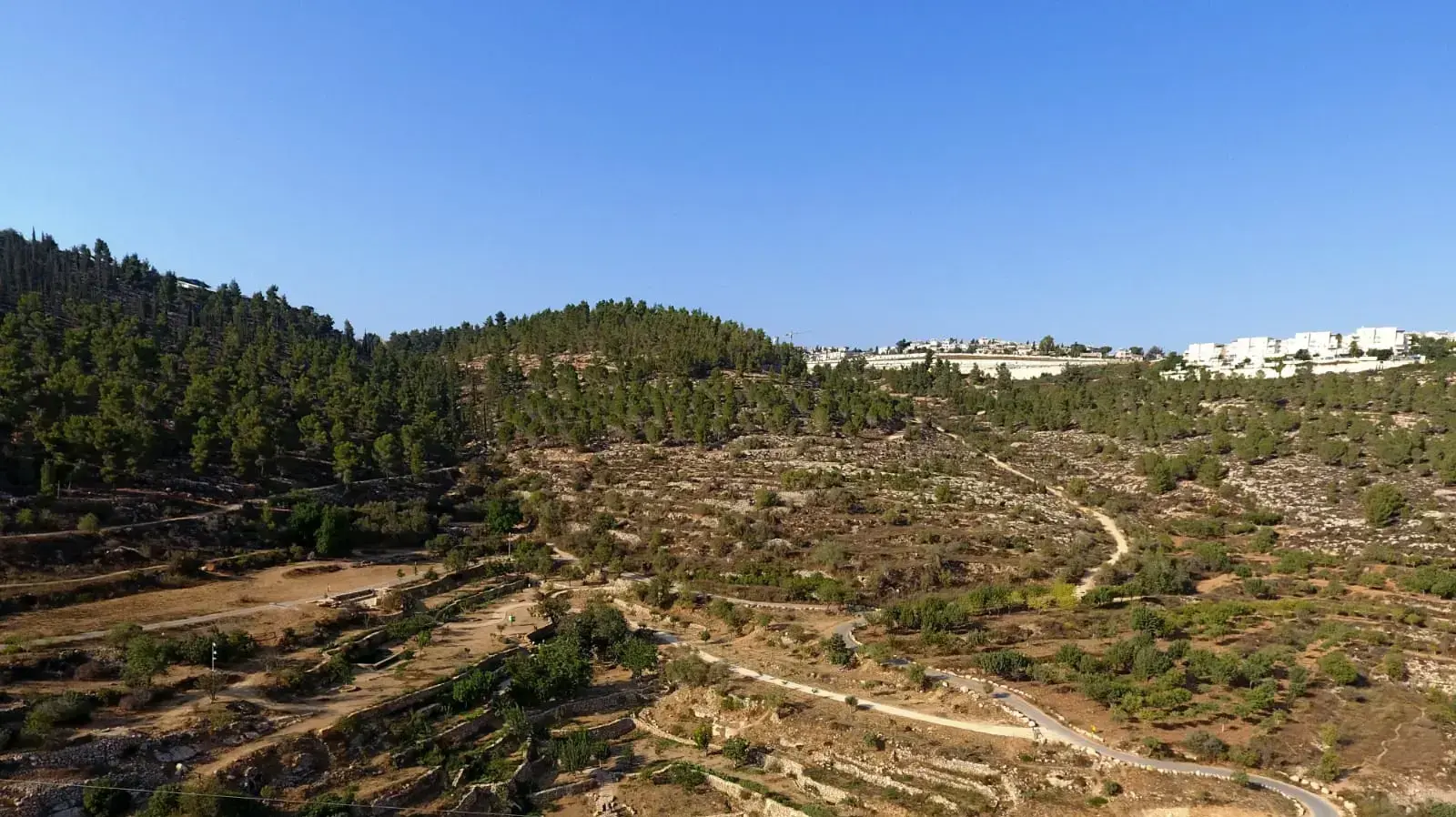רכס לבן ירושלים