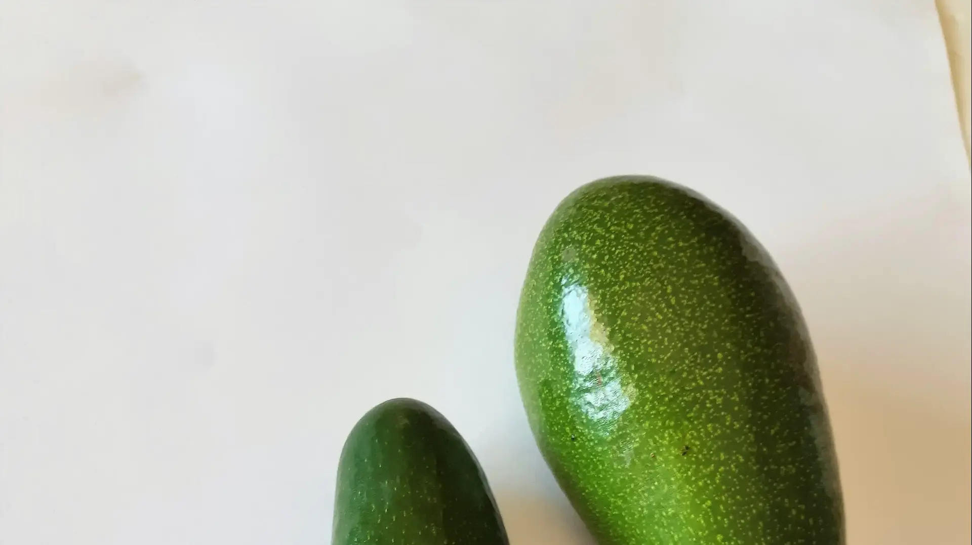 אבוקדו גליל