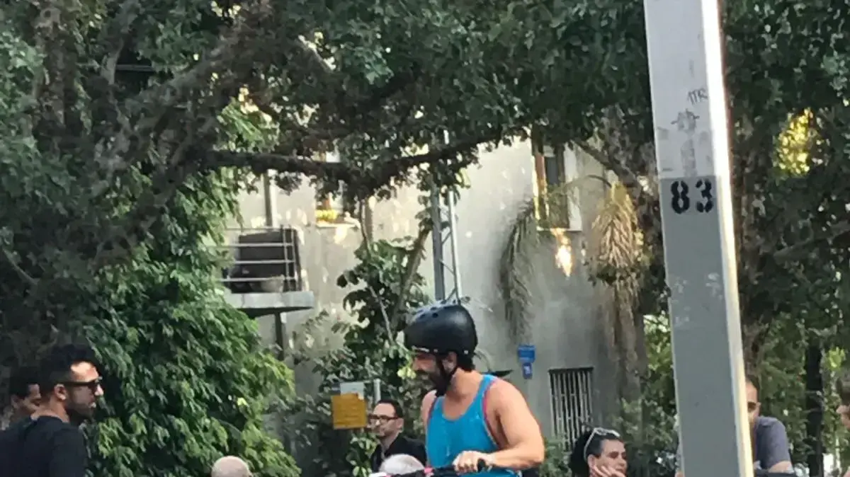 יהודה לוי