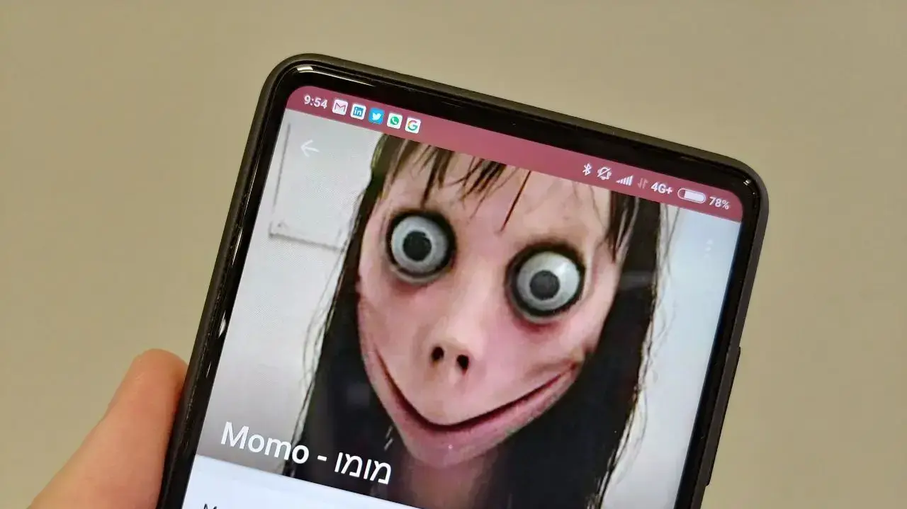 אתגר הרשת מומו