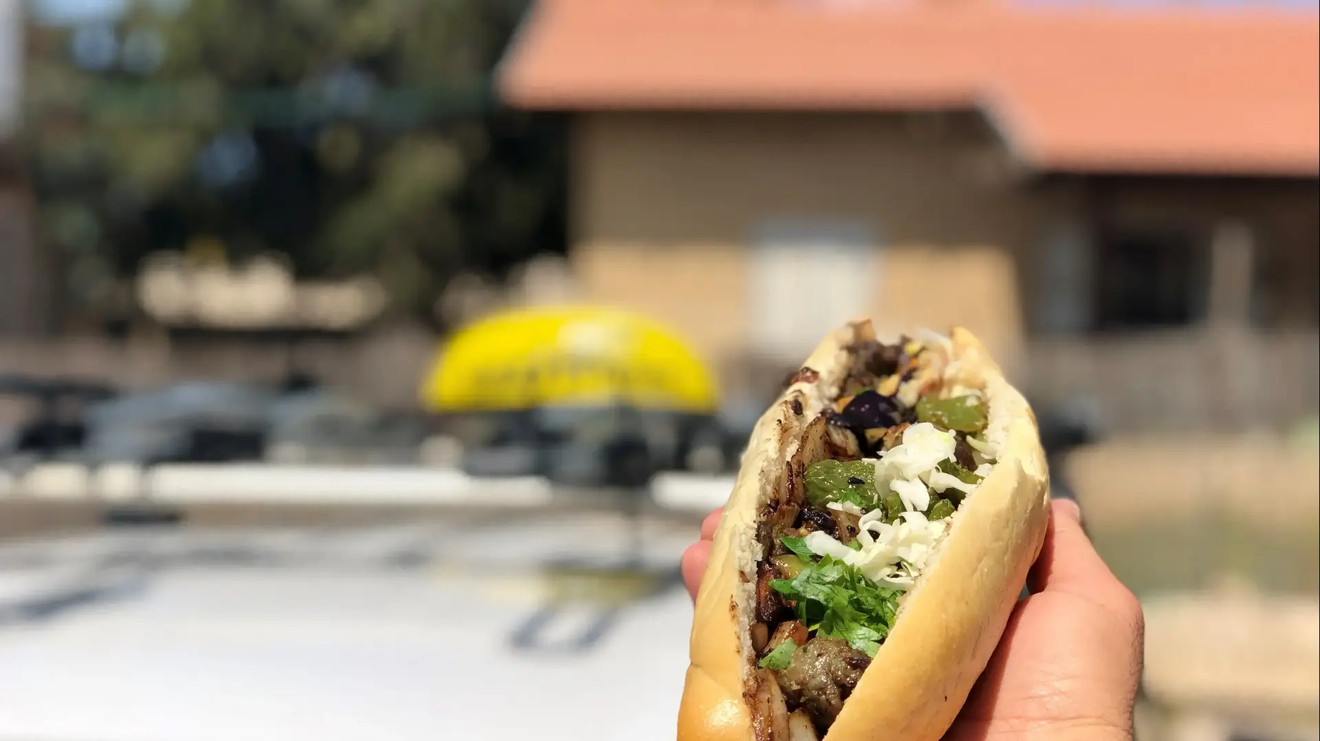 מפגש אורה