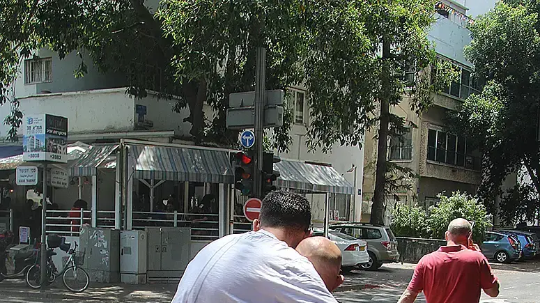 דרור רפאל דרור רפאל