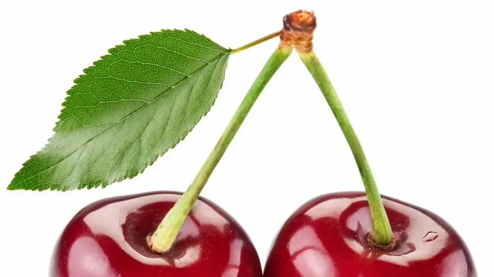 דובדבן דובדבנים גודגדנים