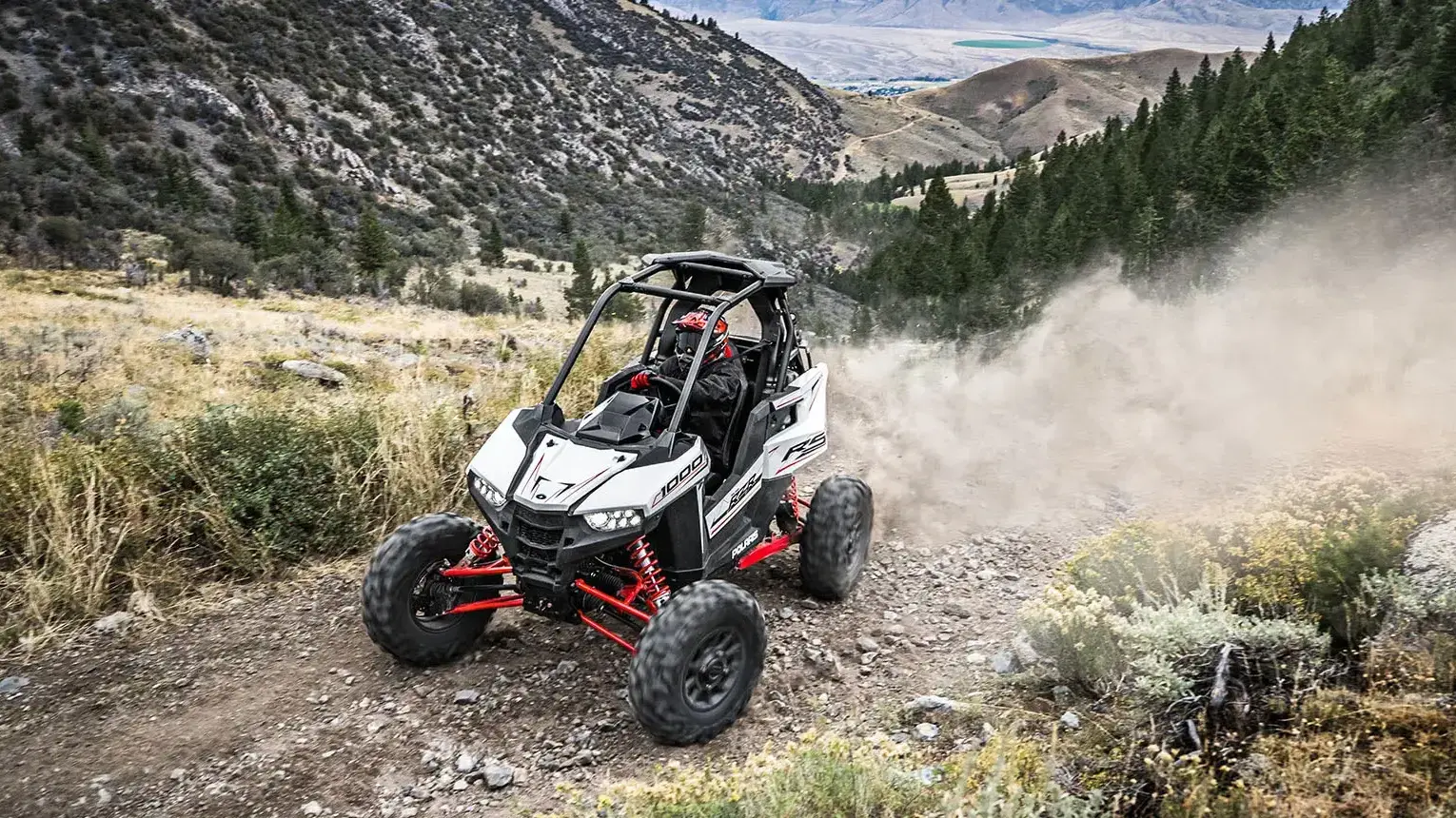 פולאריס RZR RS1