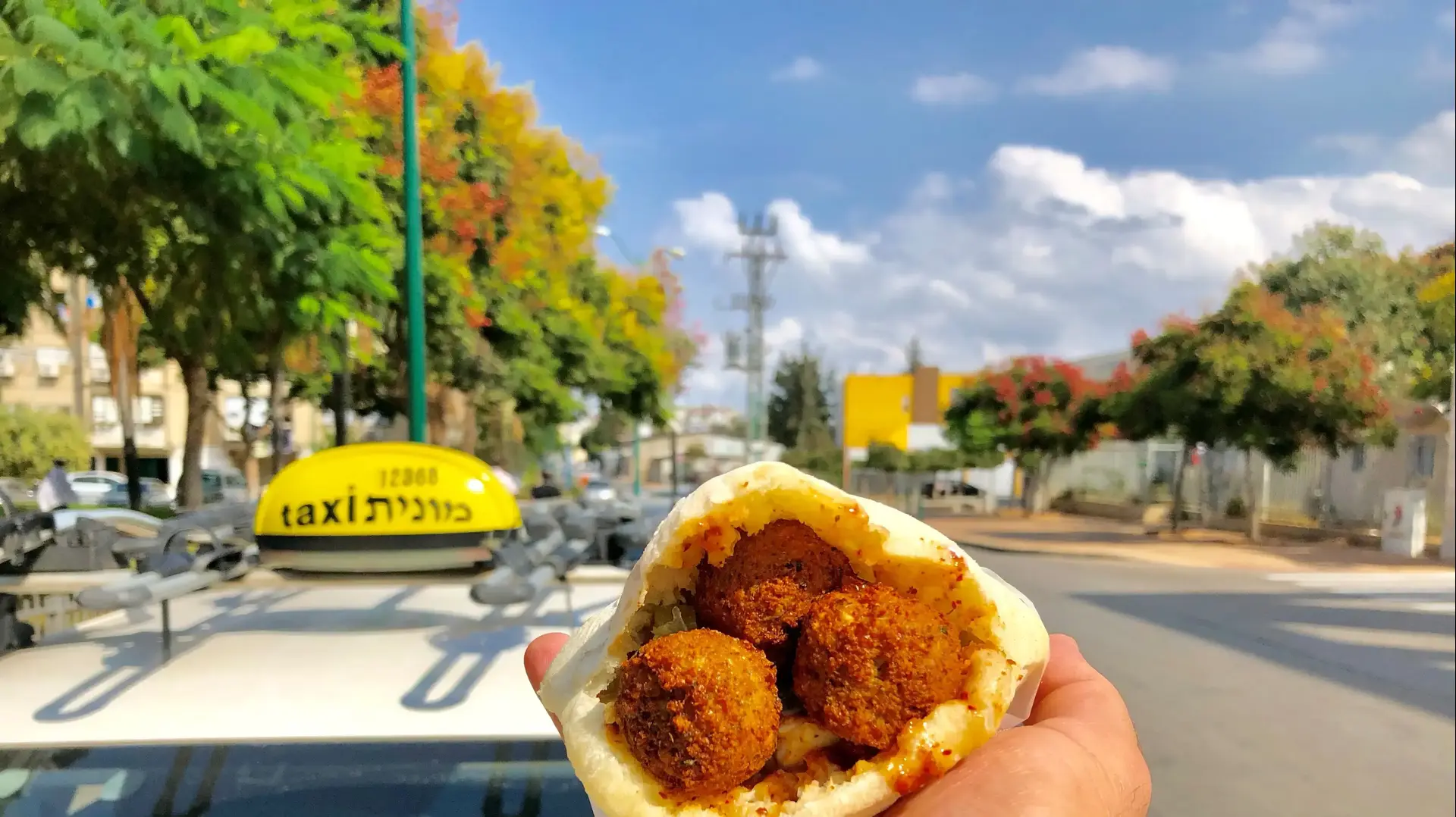 פלאפל האחים נתניה
