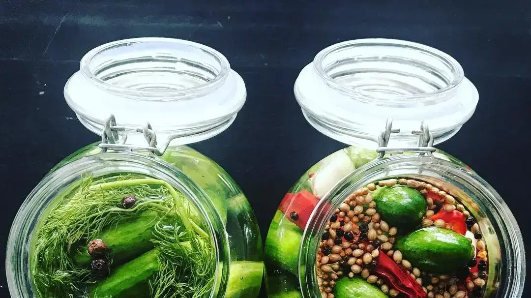 מלפפונים מוחמצים