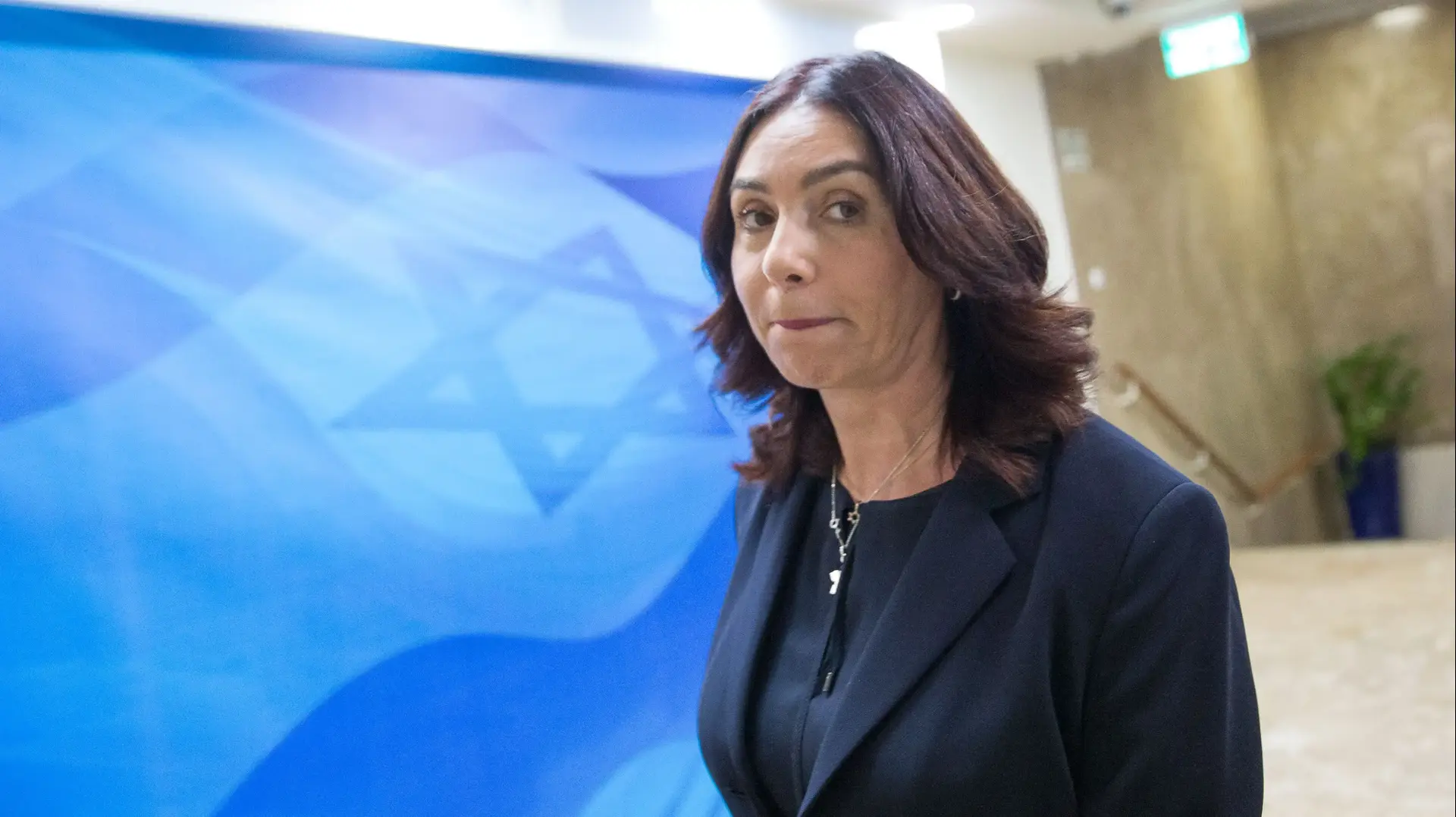 ישיבת ממשלה 25 בנובמבר 2018